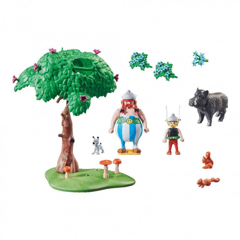 Playmobil Asterix Κυνήγι Αγριογούρουνου (71160)