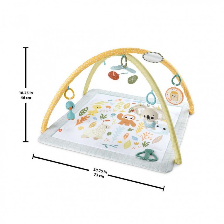 Fisher Price Γυμναστήριο Οι Πρώτες Του Αισθήσεις (HRB15)