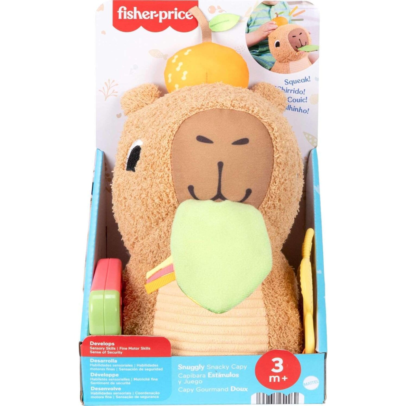 Fisher Price Μαλακό Καπιμπάρα Δραστηριοτήτων (HYR54)