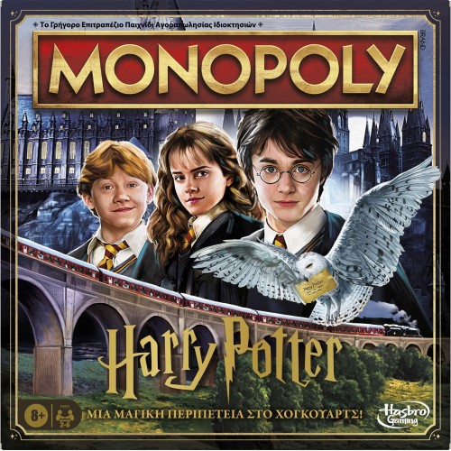 Monopoly Harry Potter (F9422)