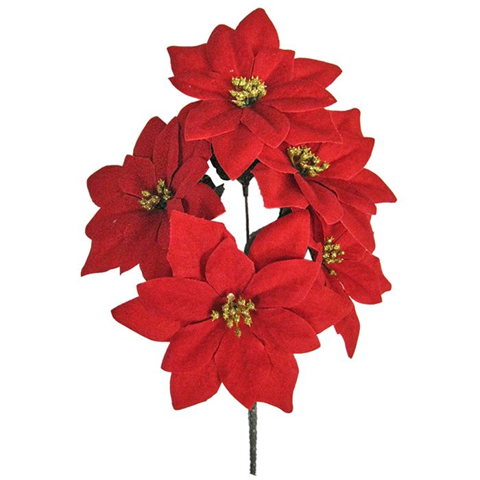 Μπουκέτο Με 5 Αλεξανδρινά Βελουτέ